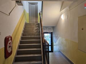 Prodej bytu 3+1, Praha - Holešovice, Ortenovo náměstí, 90 m2