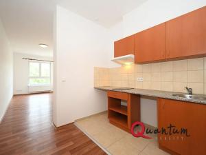 Pronájem bytu 1+kk, Otvovice, 30 m2