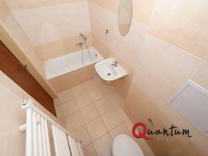 Pronájem bytu 1+kk, Otvovice, 30 m2