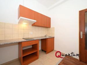 Pronájem bytu 1+kk, Otvovice, 30 m2