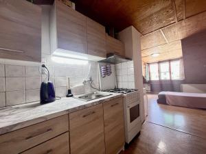 Pronájem bytu 1+kk, Praha - Strašnice, Přetlucká, 40 m2