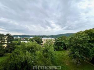 Pronájem bytu 1+1, Brno, Neumannova, 35 m2