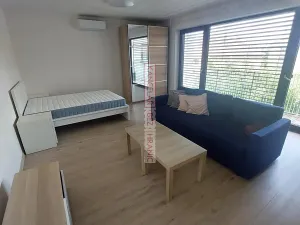 Pronájem bytu 1+kk, Brno, Auerswaldova, 46 m2