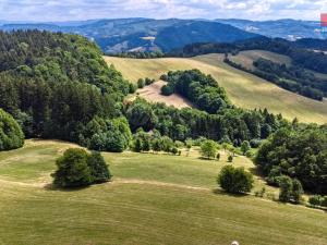Prodej louky, Prlov, 14409 m2
