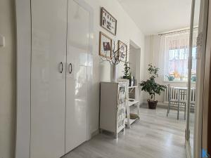 Pronájem bytu 1+1, Prostějov, Dolní, 33 m2
