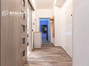 Prodej bytu 2+1, Teplice, Zrenjaninská, 51 m2