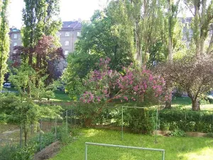 Pronájem bytu 1+1, Brno, Botanická, 39 m2