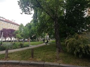 Pronájem bytu 1+1, Brno, Botanická, 39 m2