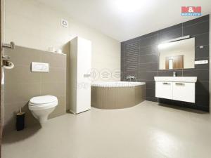 Prodej rodinného domu, Pasohlávky, 297 m2