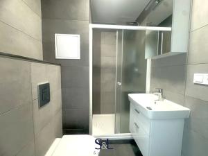 Pronájem bytu 2+kk, Liberec, Soukenická, 36 m2