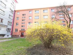 Pronájem bytu 1+kk, Karviná - Ráj, Kosmonautů, 21 m2