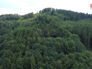 Prodej lesa, Palkovice, 164841 m2
