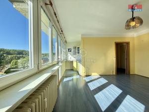 Prodej bytu 1+kk, Náchod, Pražská, 27 m2