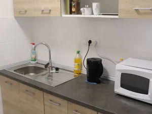 Pronájem bytu 1+kk, Přerov, Č. Drahlovského, 25 m2