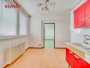 Prodej bytu 1+1, Kolín, Žižkova, 42 m2