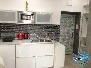 Pronájem bytu 1+kk, Ostrava, U Sokolovny, 26 m2