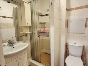 Pronájem bytu 1+1, Sezimovo Ústí, Lipová, 32 m2