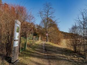 Prodej pozemku pro bydlení, Vysoké Mýto, Vinice, 1447 m2