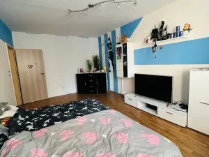 Prodej bytu 3+1, Teplice, Antala Staška, 81 m2