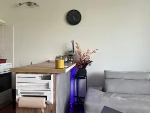 Pronájem bytu 1+kk, Brno, Hrázka, 40 m2