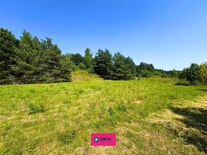 Prodej pozemku pro bydlení, Olšany, 2035 m2