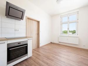 Pronájem bytu 1+1, Brno, Olomoucká, 45 m2