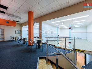 Prodej komerční nemovitosti, Karlovy Vary - Stará Role, Truhlářská, 464 m2