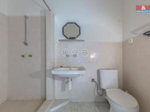 Prodej ubytování, Plavy, 500 m2