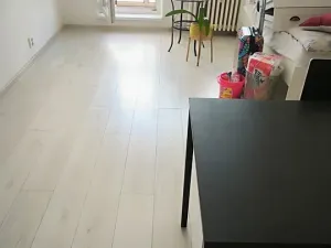 Pronájem bytu 1+kk, Ostrava, Lumírova, 30 m2