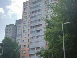 Pronájem bytu 1+kk, Ostrava, Lumírova, 30 m2