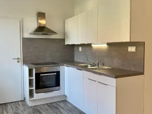 Pronájem bytu 1+kk, Ostrava, Hasičská, 40 m2