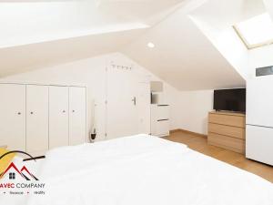 Pronájem bytu 1+kk, Ostrava, Cihelní, 30 m2