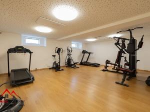 Pronájem bytu 1+kk, Ostrava, Cihelní, 30 m2