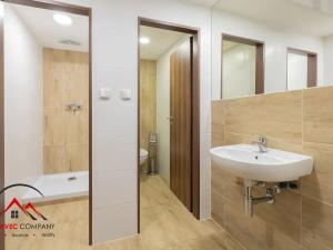 Pronájem bytu 1+kk, Ostrava, Cihelní, 30 m2
