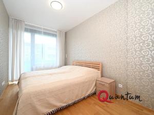 Pronájem bytu 2+kk, Praha - Holešovice, Argentinská, 50 m2