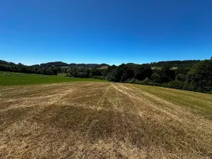 Prodej louky, Nový Jičín, 10482 m2