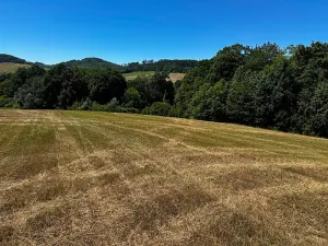 Prodej louky, Nový Jičín, 10482 m2