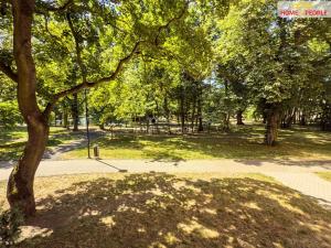 Prodej bytu 4+1, Litvínov, U Zámeckého parku, 84 m2