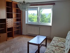 Pronájem bytu 2+1, Brno, Záhumenice, 60 m2
