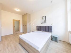Pronájem bytu 2+1, Praha - Nusle, Táborská, 54 m2