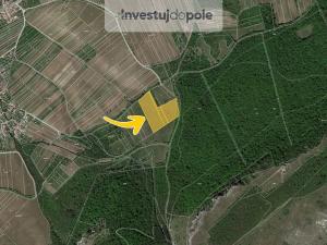 Prodej louky, Horní Věstonice, 24706 m2