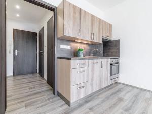 Pronájem bytu 1+kk, České Budějovice, Dlouhá, 37 m2