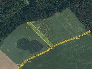 Prodej louky, Letohrad, 11377 m2