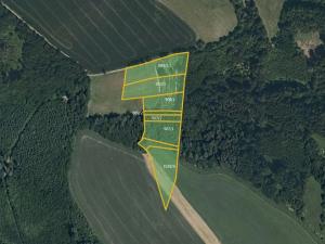 Prodej louky, Letohrad, 11377 m2