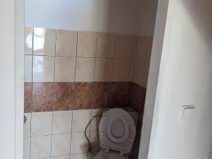 Pronájem atypického bytu, Běleč, Dukelská, 172 m2