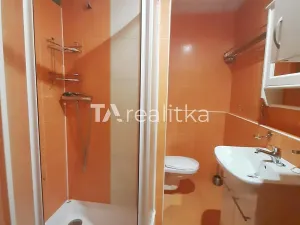 Pronájem bytu 2+1, Orlová, F. S. Tůmy, 46 m2