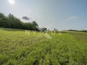 Prodej pozemku pro bydlení, Ondřejov, Luční, 3701 m2