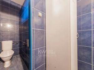 Prodej obchodního prostoru, Rataje nad Sázavou, 100 m2