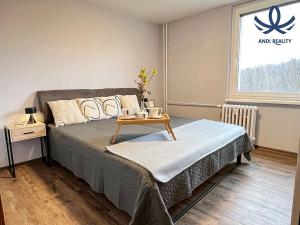 Pronájem bytu 3+1, Liberec, Soukenická, 63 m2