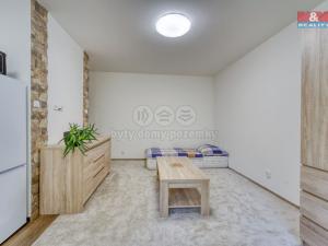 Pronájem bytu 1+kk, Plzeň - Jižní Předměstí, Čechova, 21 m2